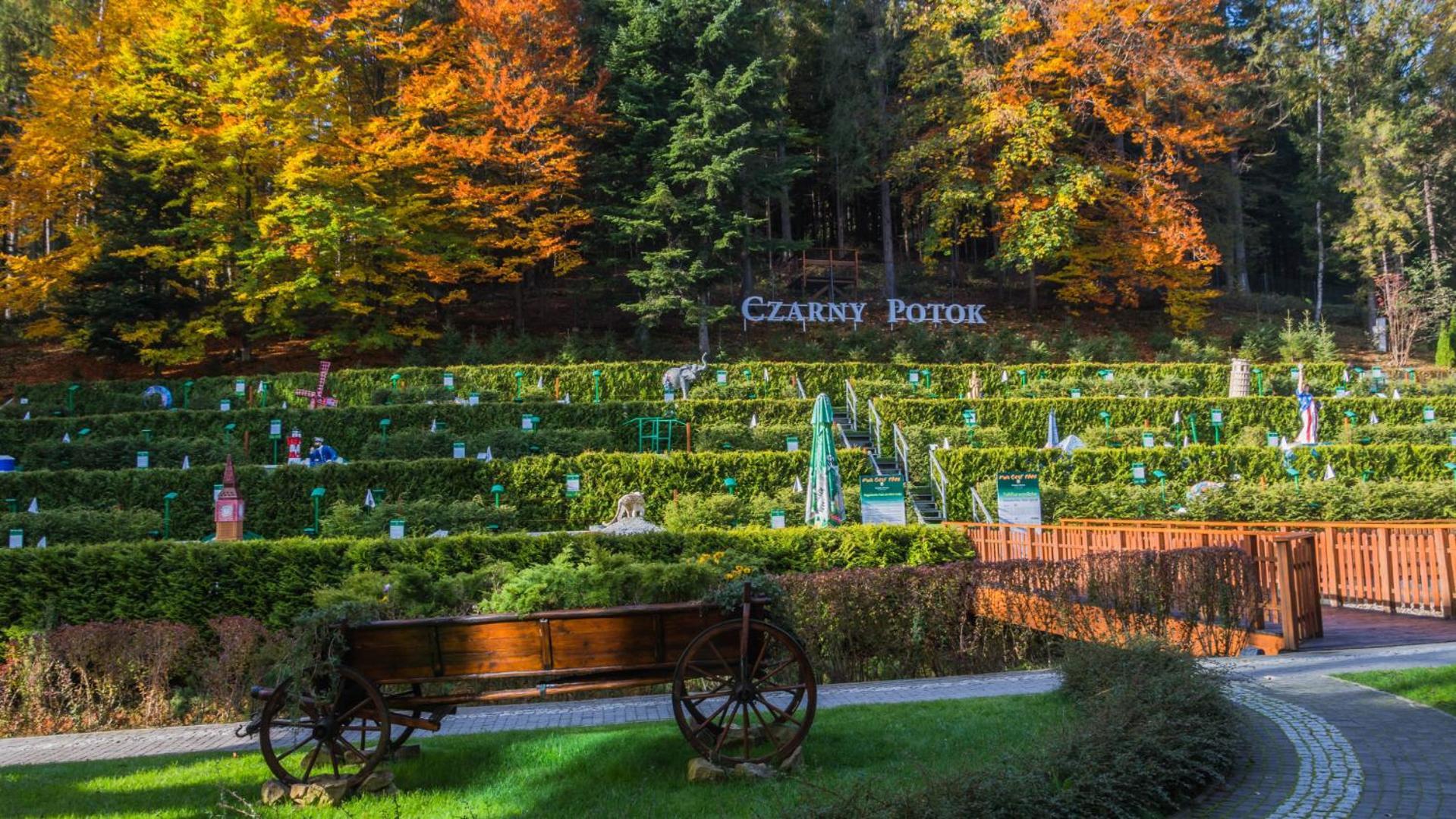 Hotel Czarny Potok Resort Spa & Conference 크리니차 즈드로이 외부 사진